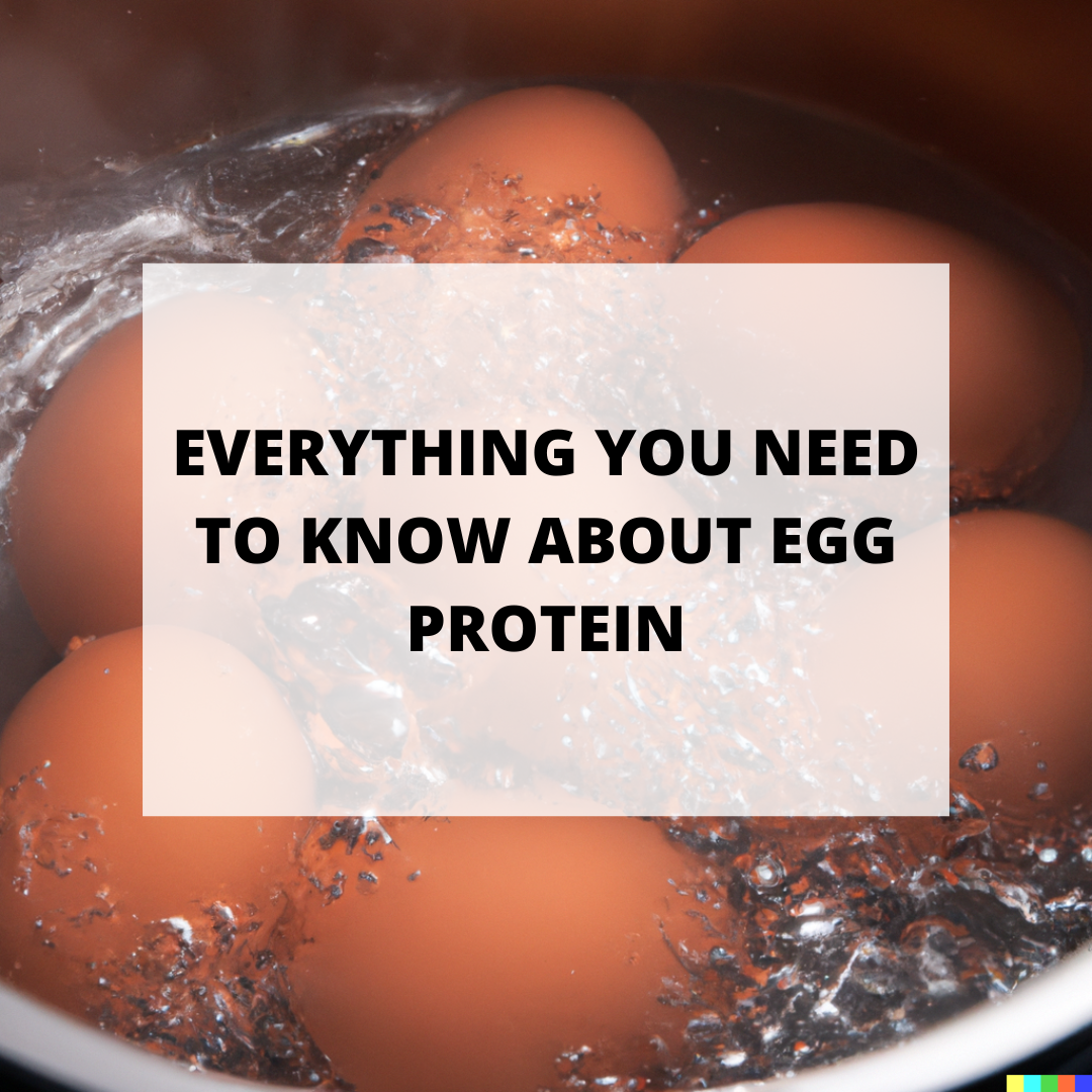Everything You Need to Know About Egg Protein